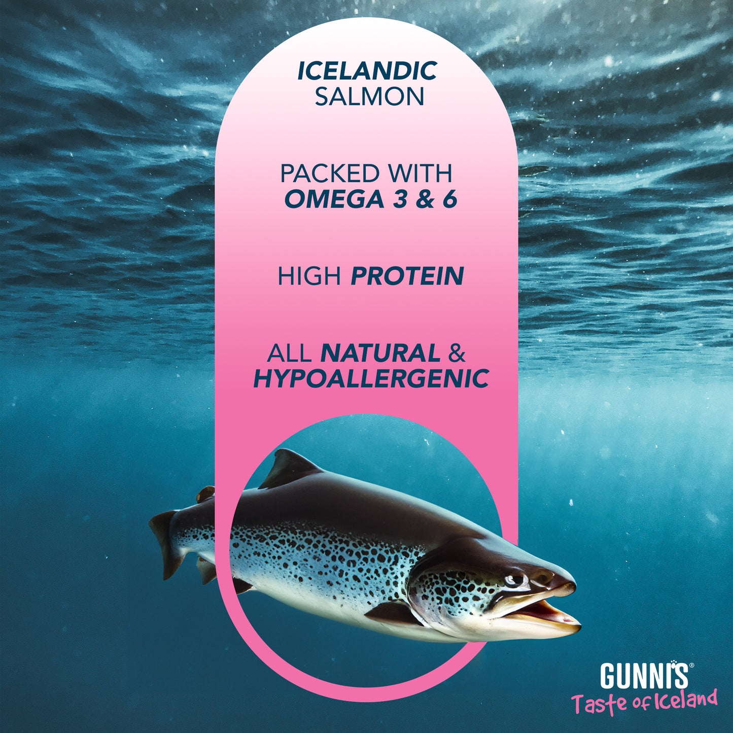 Gunni's Salmon Wafers 85g