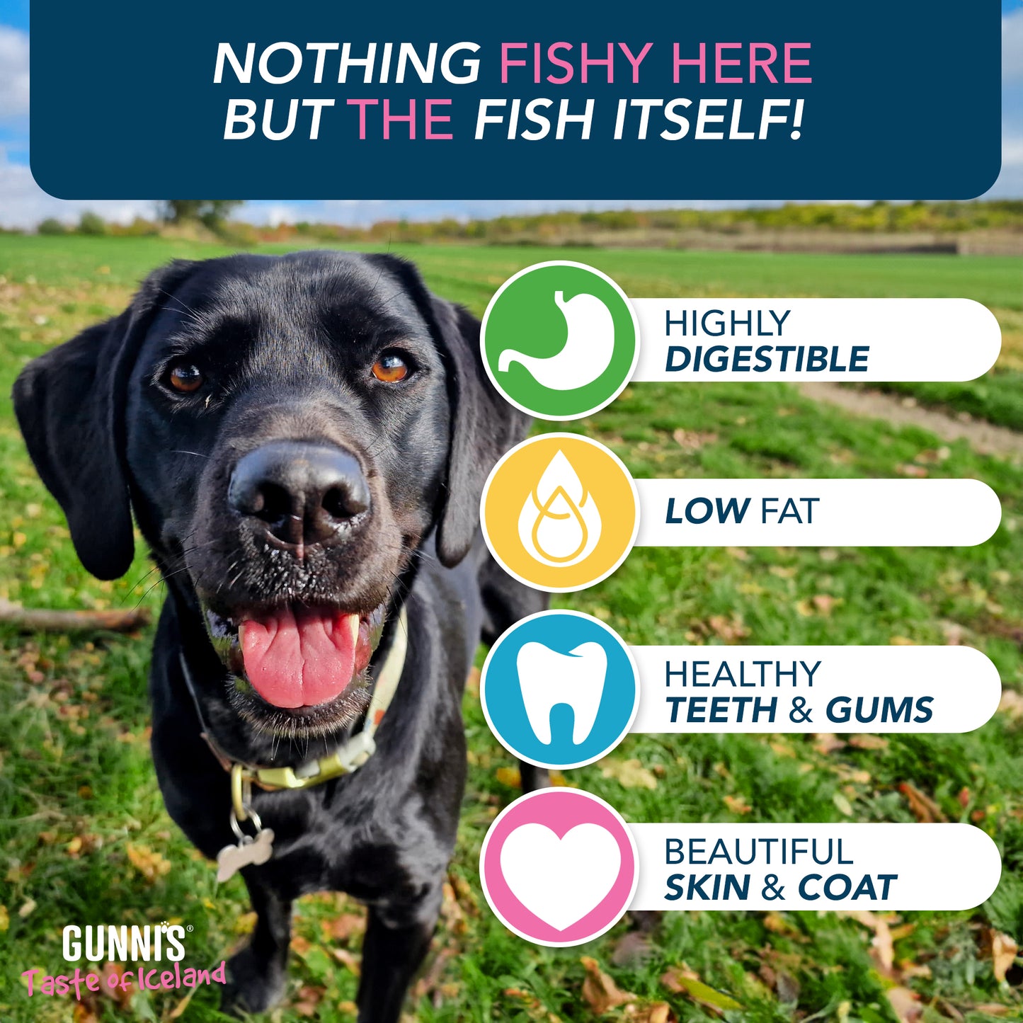 Gunni's Cod Skin Strips - bulk bag 500g | 40 - 50 pieces