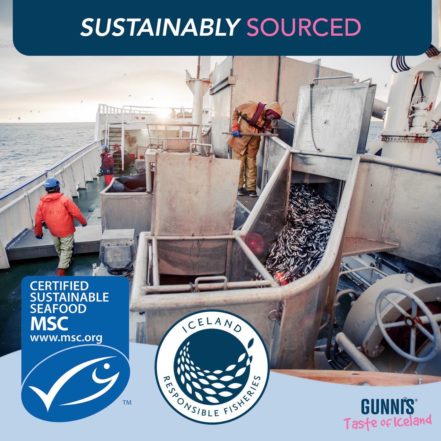 Gunni's Whole Herring 255g