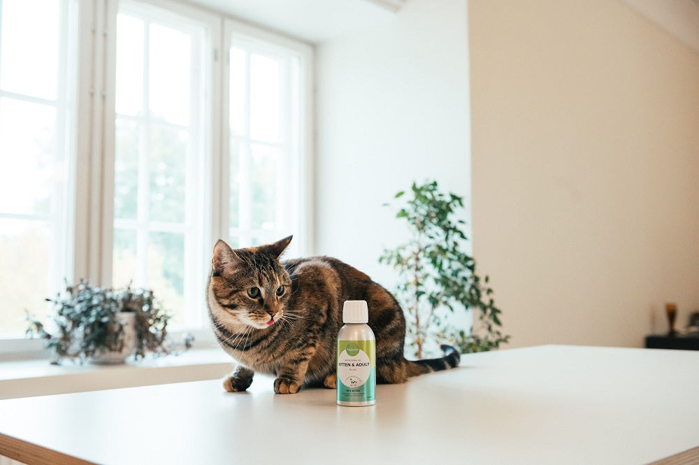 Nutrolin Kitten & Adult