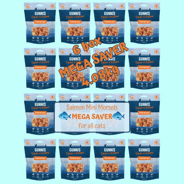 Gunni's Salmon Mini Morsels Cat Treats