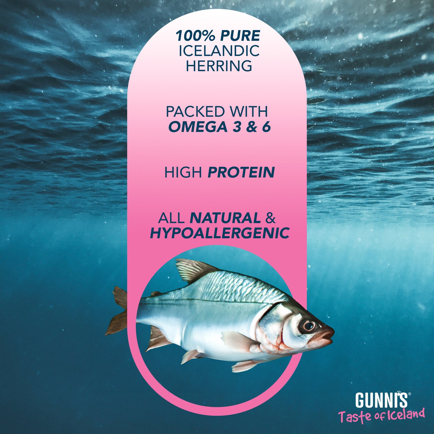 Gunnis Whole Herring Natural Fish Treats For Dogs, 255g