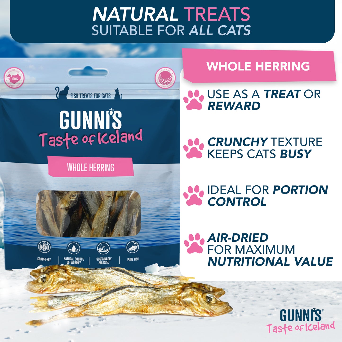 Gunnis Whole Herring Natural Cat Treats, 42.5g