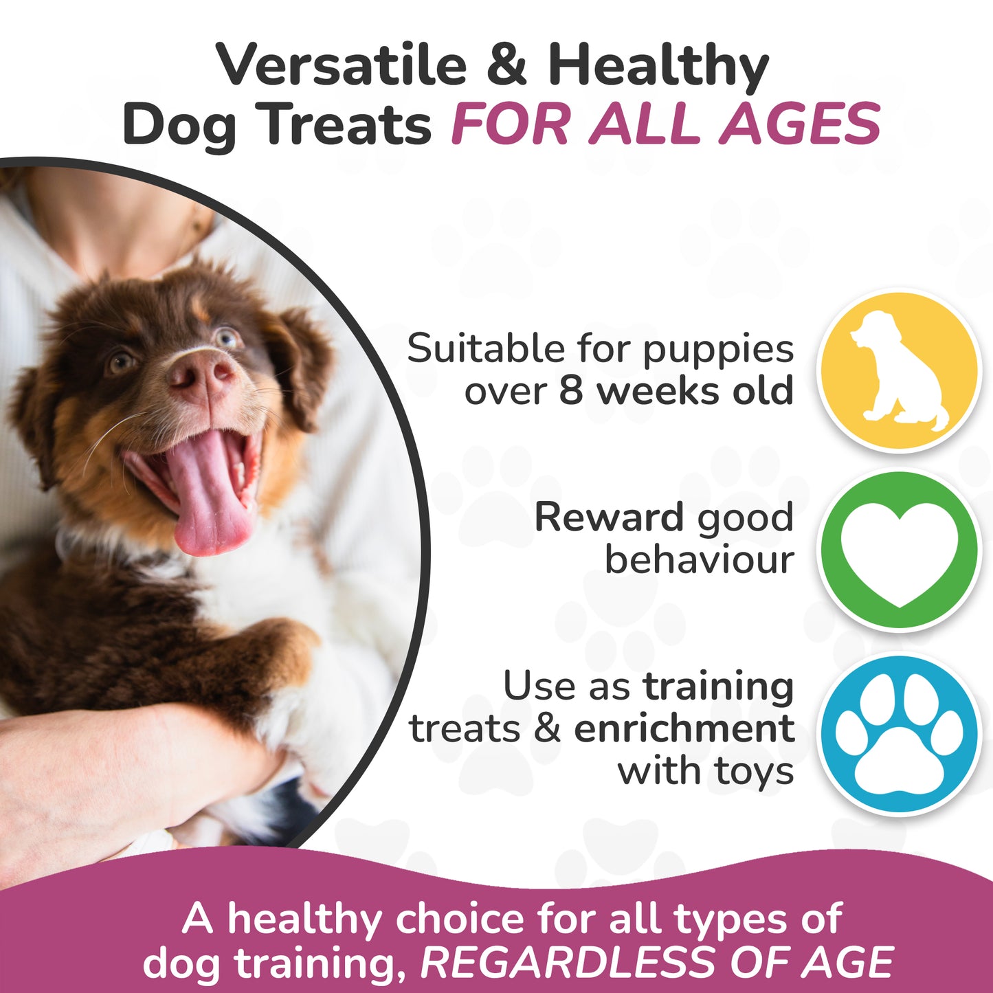 Natural Meat Dog Treats - WILD BOAR - Low Fat Healthy Dog Training Treats