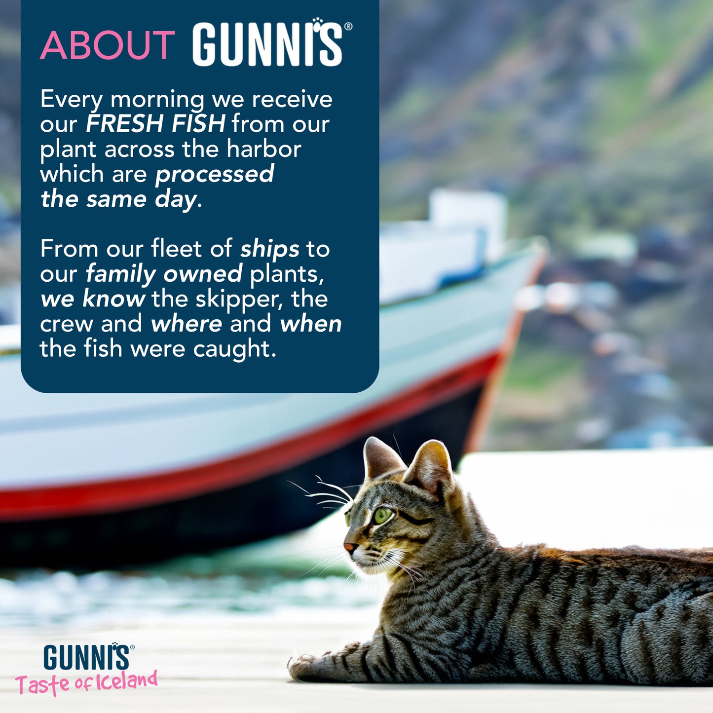 Gunnis Wolffish Mini Morsels Natural Cat Treats, 42.5g