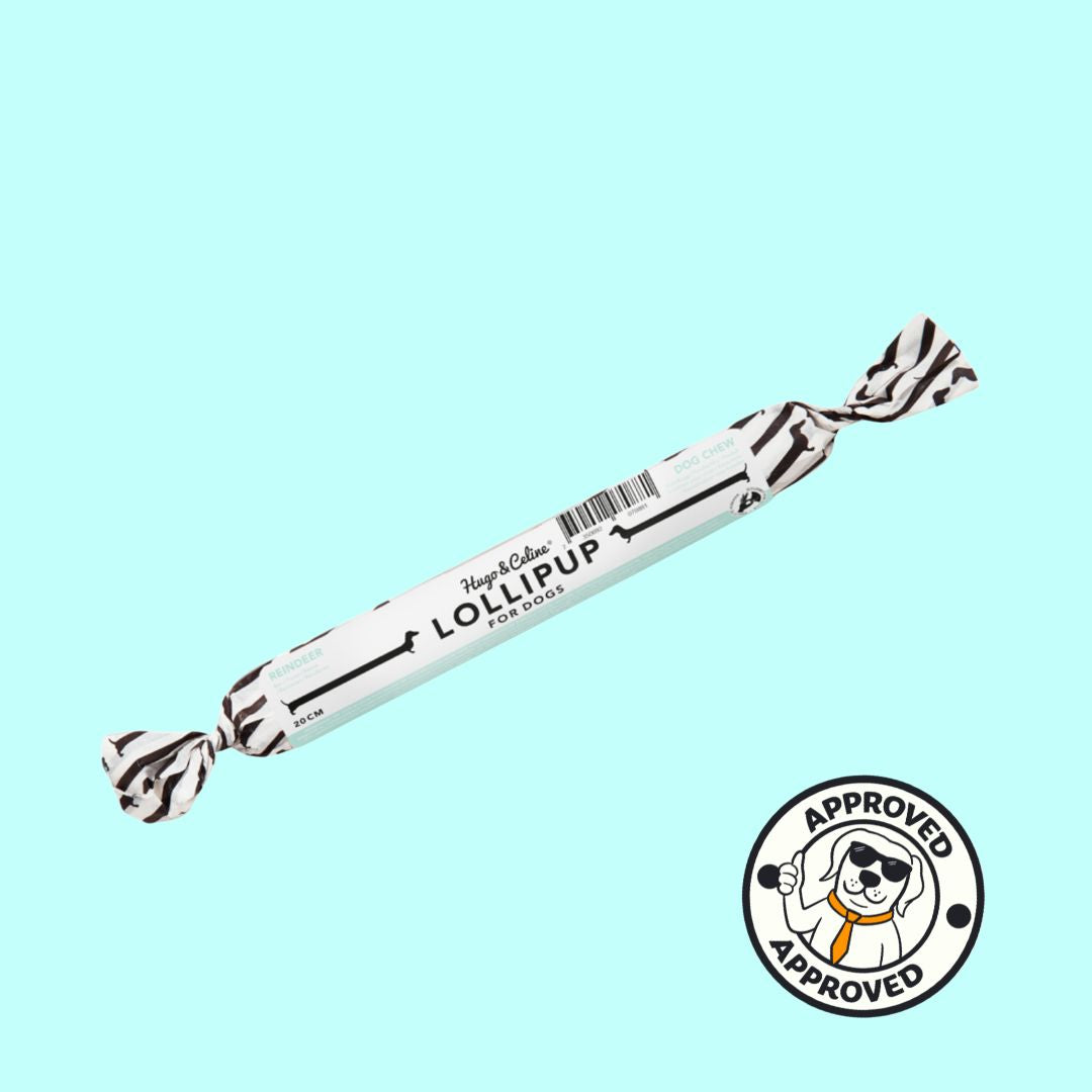 Hugo & Celine Reindeer Lollipup