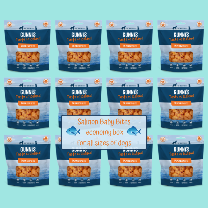 Gunni's Salmon Baby Bites