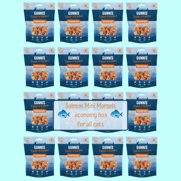 Gunni's Salmon Mini Morsels Cat Treats