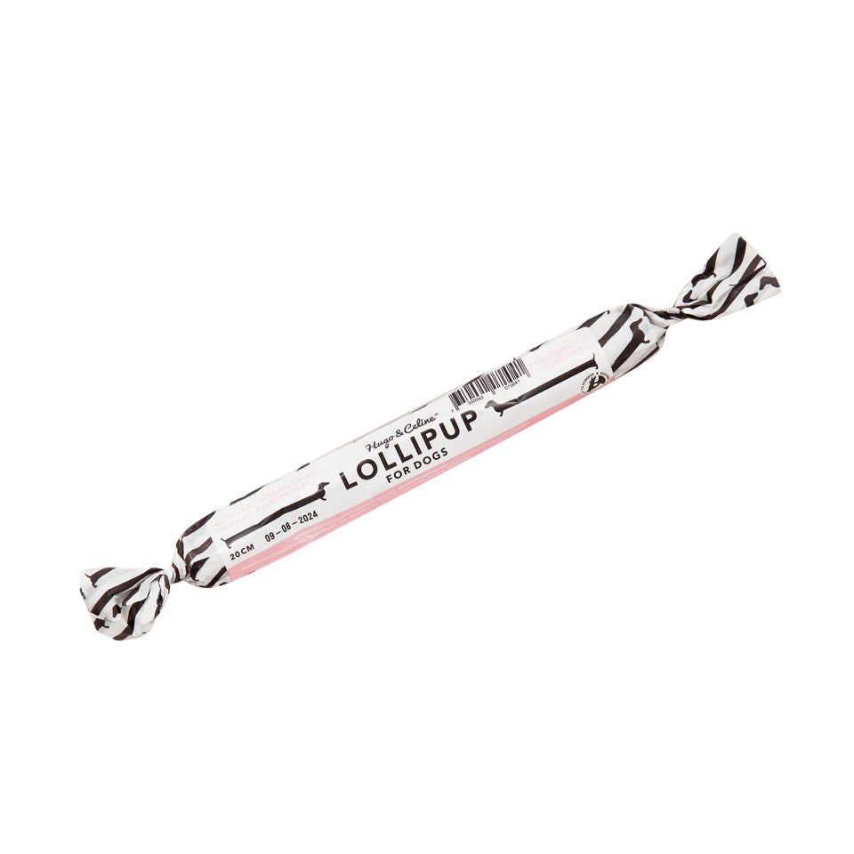 Hugo & Celine LOLLIPUP pure Swedish Bull Pizzle chewing reward treat in gift wrapper